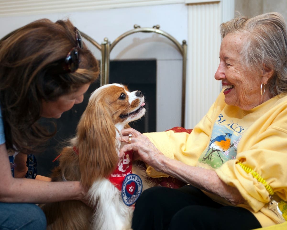 FPOW is approved by the American Kennel Club as an AKC-recognized therapy dog group.