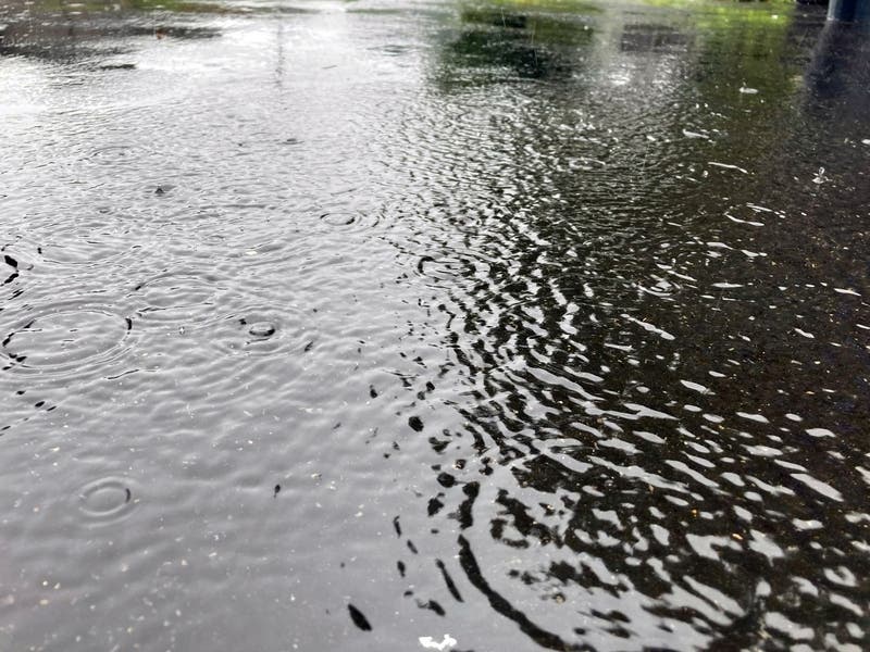 Flooding has been reported in multiple neighborhoods throughout the Birmingham metro from heavy rain over the last few days.