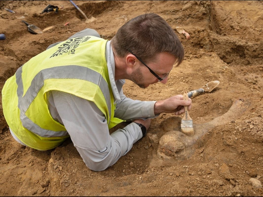 Yep, It's A Dinosaur: Denver Museum Confirms Highlands Ranch Find