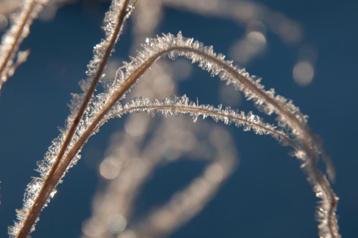 Frostbite Weather: When Your Skin Tingles, It's Time Go Inside