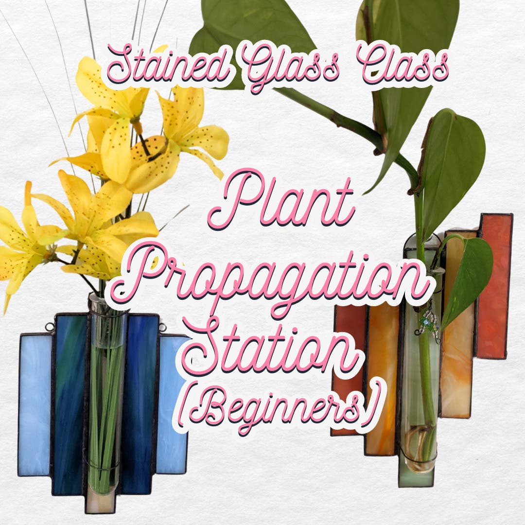 Stained Glass Class - Plant Propagation Station (Beginners) 9/20