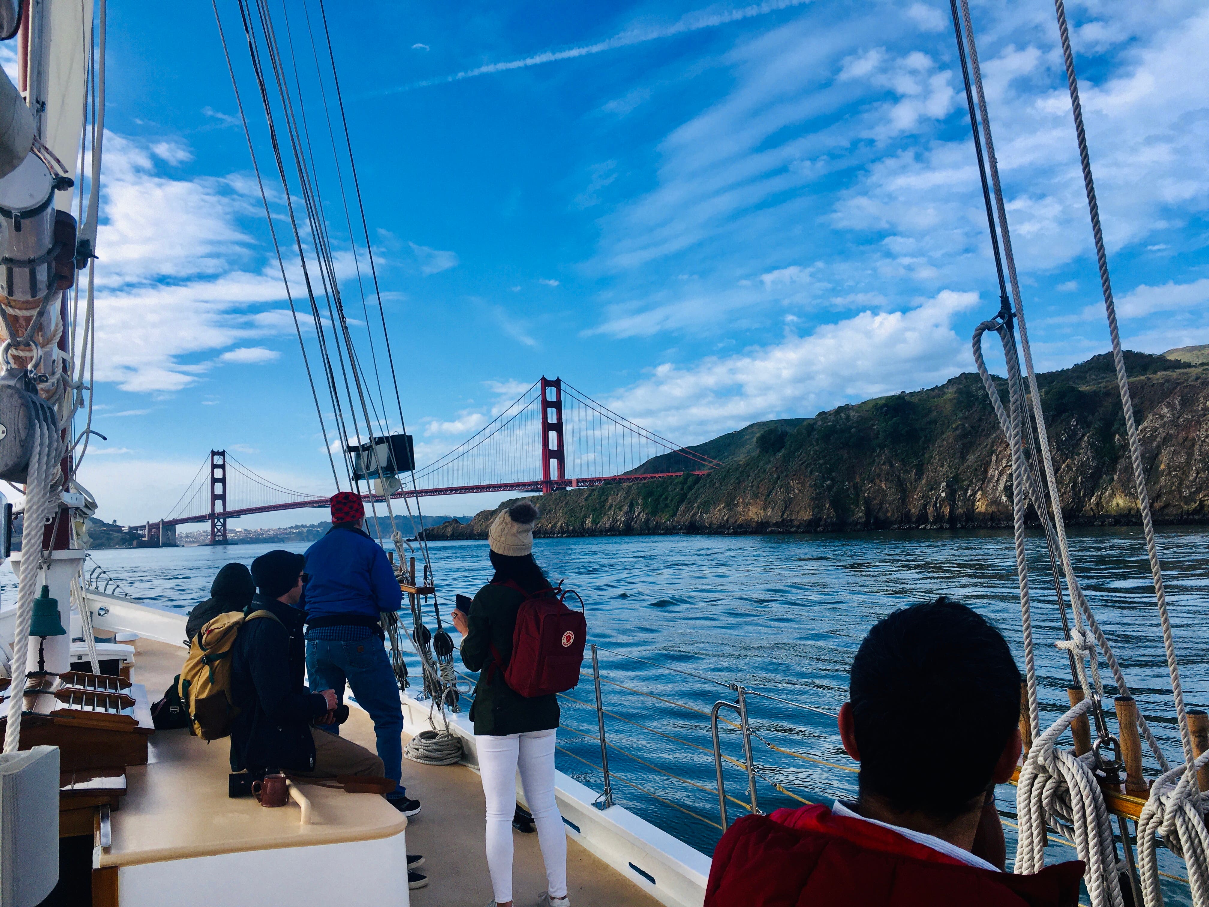 Marine Wildlife and Ecology - Sail under the Golden Gate Bridge 2024