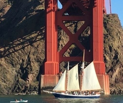 Labor Day 2024-Monday Wildlife & Ecology Sail under the Golden Gate Bridge