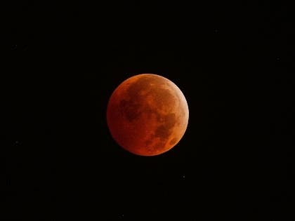 The full blood lunar eclipse on Nov. 19 is technically a partial eclipse, but at its peak, Earth will block 98 percent of the sun’s light from the moon, turning its face a burnished red. The eclipse peaks around 4 a.m. on Nov. 19 in Connecticut.