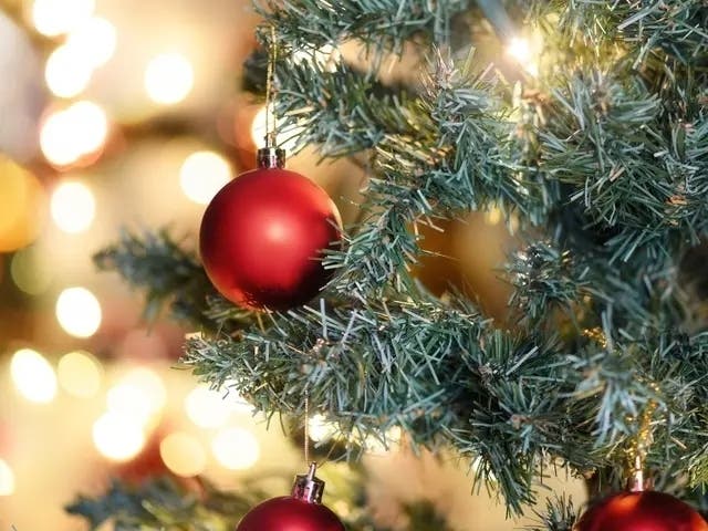 Here's what to know locally if you're looking to get festive for the winter holidays.