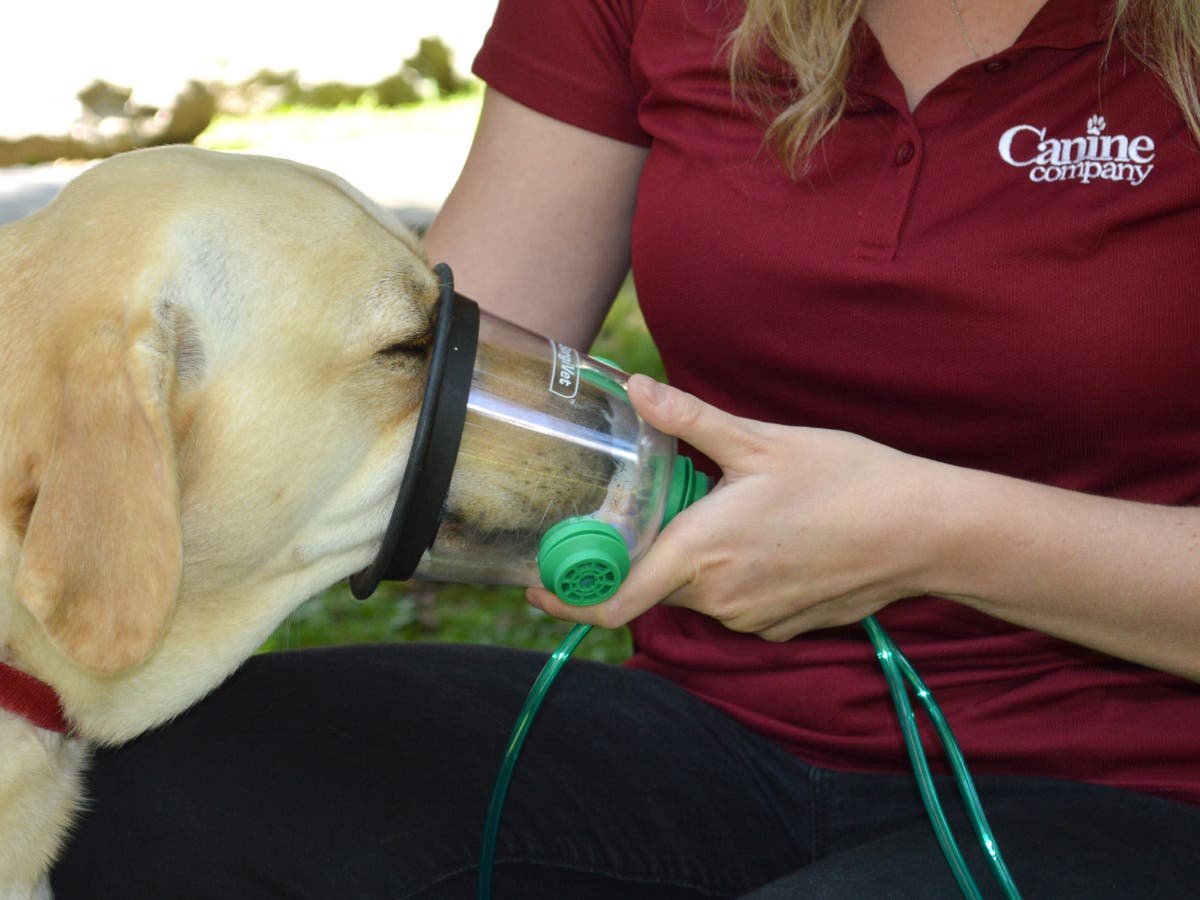 The squad's new pet oxygen masks are specially designed for an animal's snout.