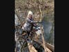 Liza Goldstein, 14, goes “out on a limb” to try and collect trash from along the stream at Nomahegan Park. 