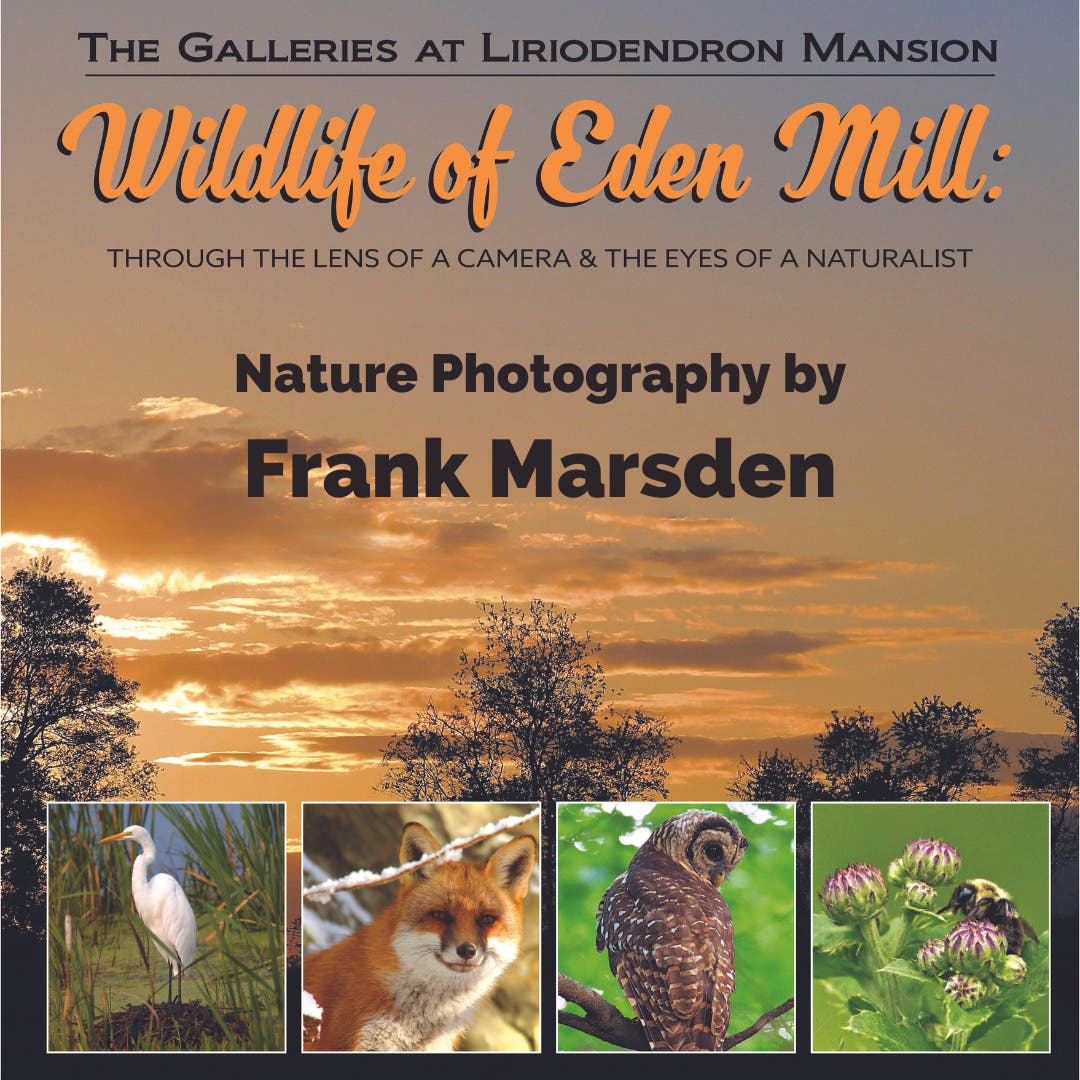 Exhibit: Wildlife of Eden Mill