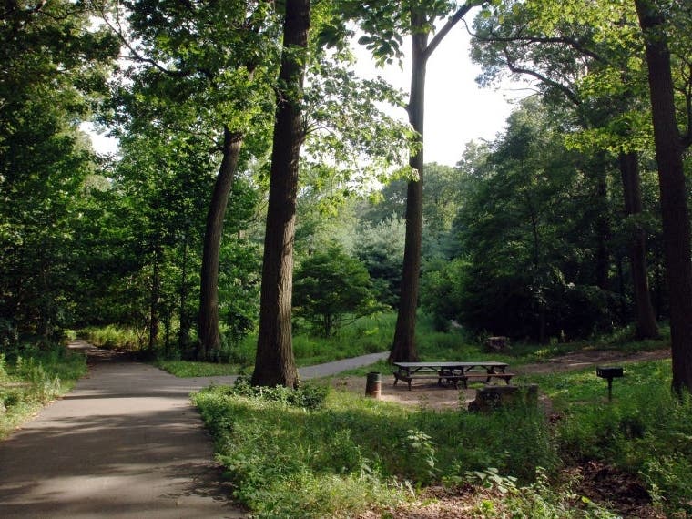 Orienteering Course Launches At Alley Pond Park