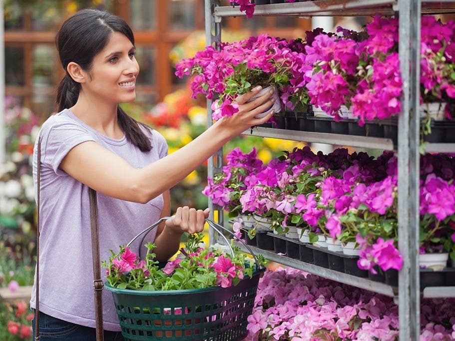 It’s not the case with most types of services and stores Checkbook examines, but paying more for plants at garden centers improves your odds of getting better advice, service, and plants.