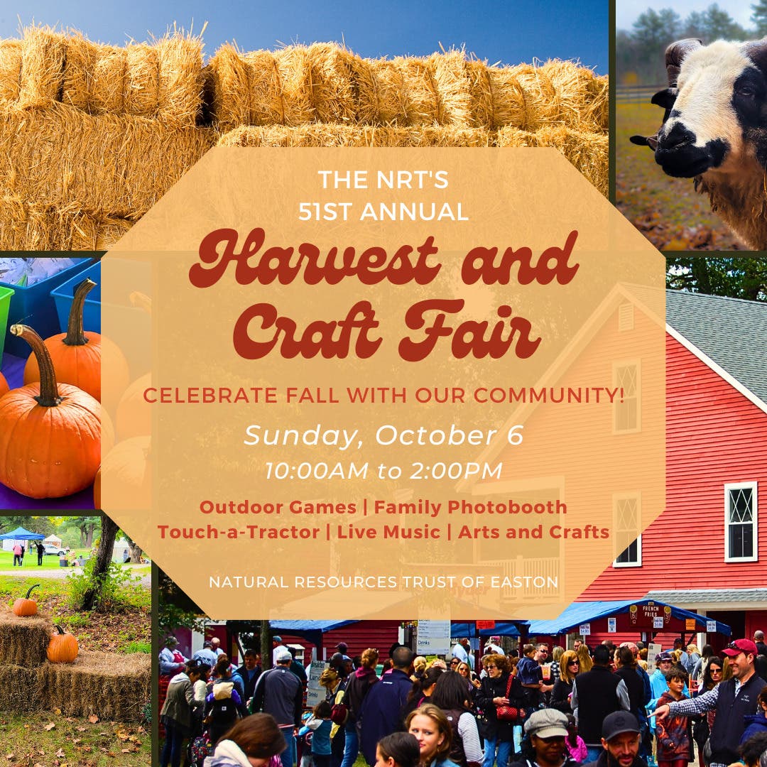 NRT's 51st Annual Harvest and Craft Fair