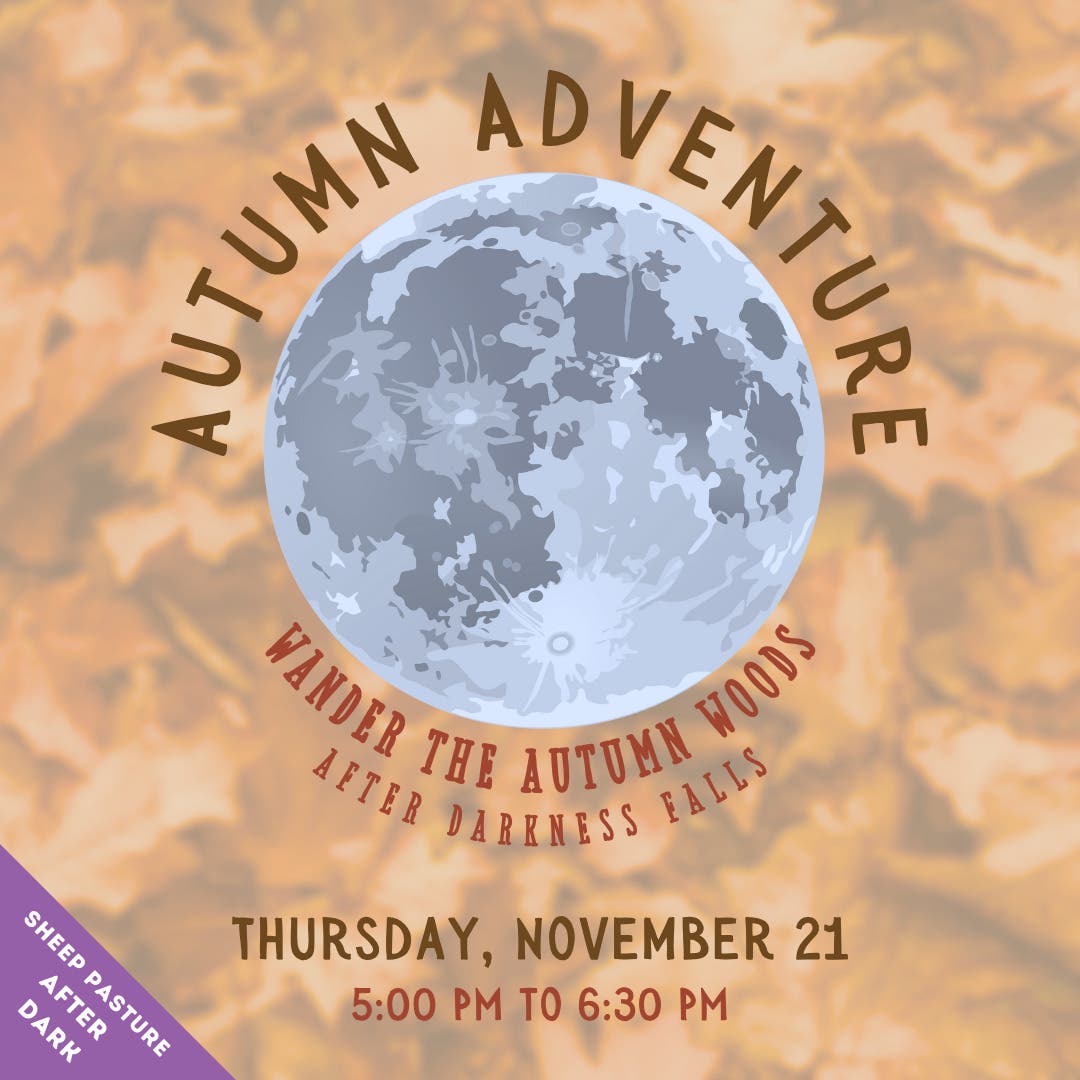 Autumn Adventure! (Sheep Pasture: After Dark)