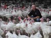 Sho Nuf Turkey Farm​ in Fulton produces 20,000 fresh, locally raised birds for Marylanders' Thanksgiving holiday feasts.