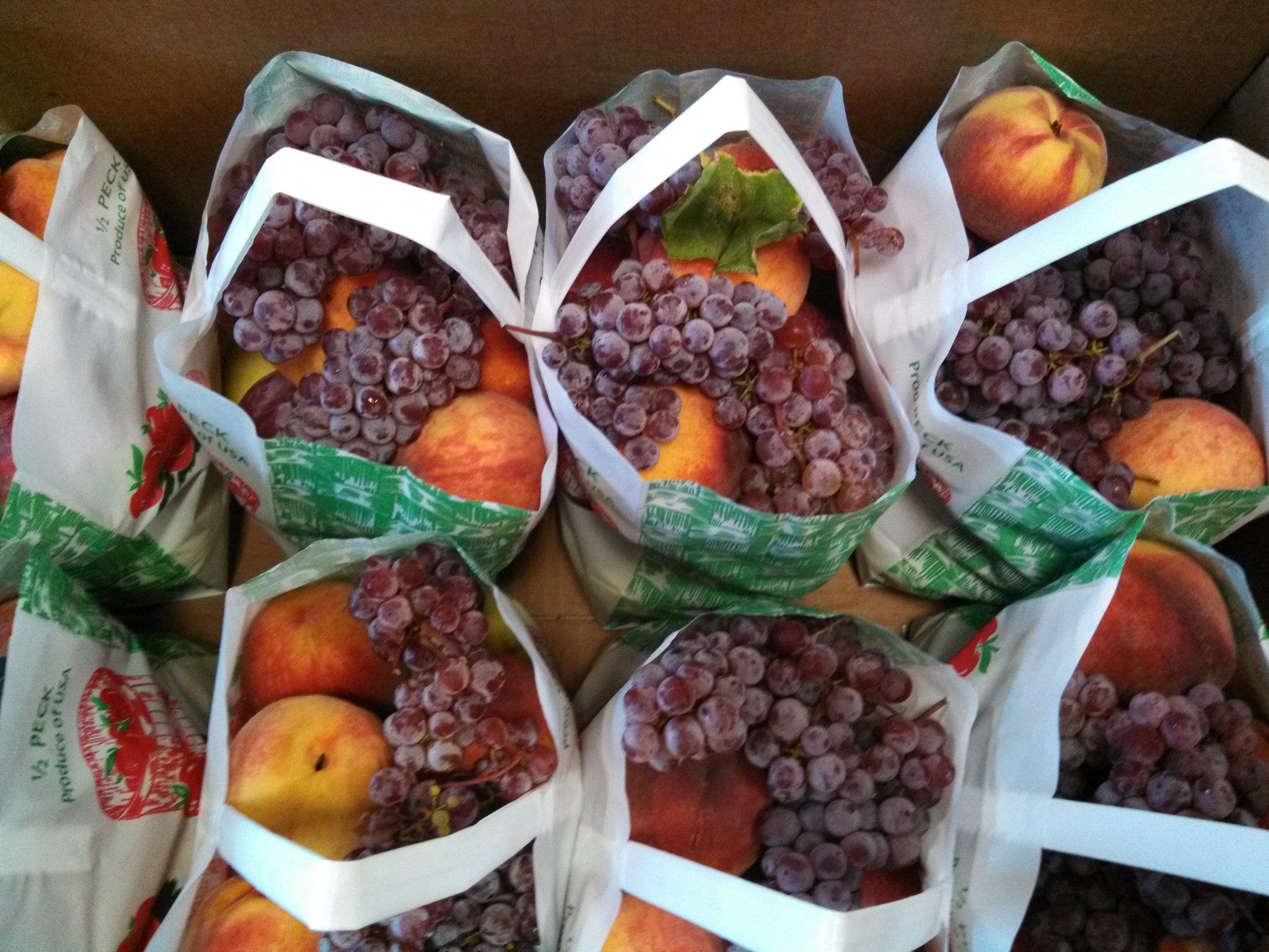 Fruit Shares from Newton Community Farm