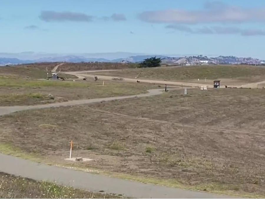 Berkeley To Investigate If Radioactive Material Was Buried Under Waterfront Park