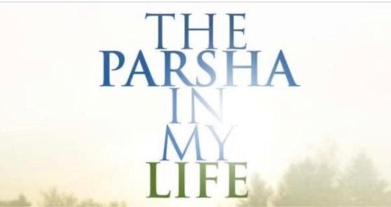 Parsha In My Life