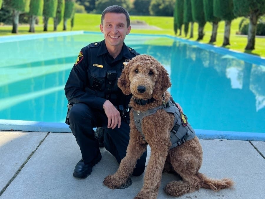 2 Pups Join SMC's Therapy K-9 Program