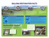 Facts about the state’s proposed restoration, prepared by Friends of Ballona Wetlands 