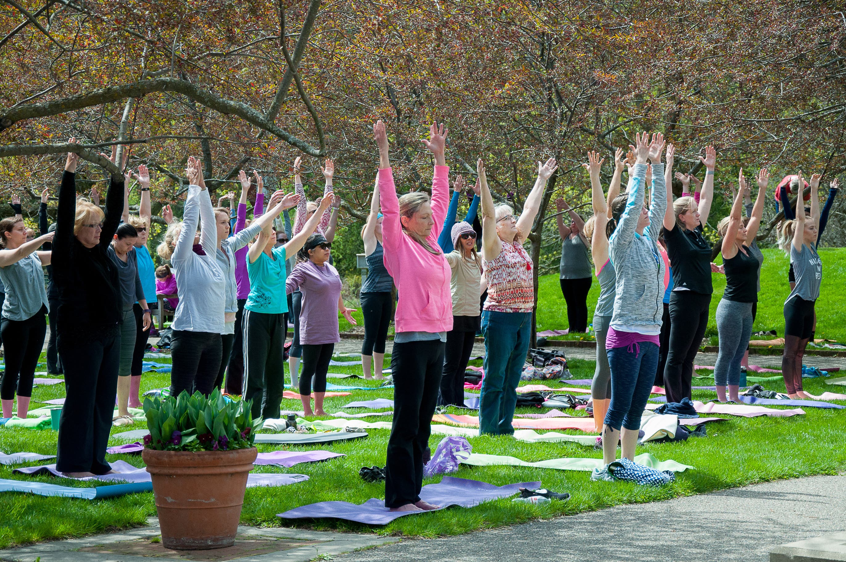 Yoga in the Gardens