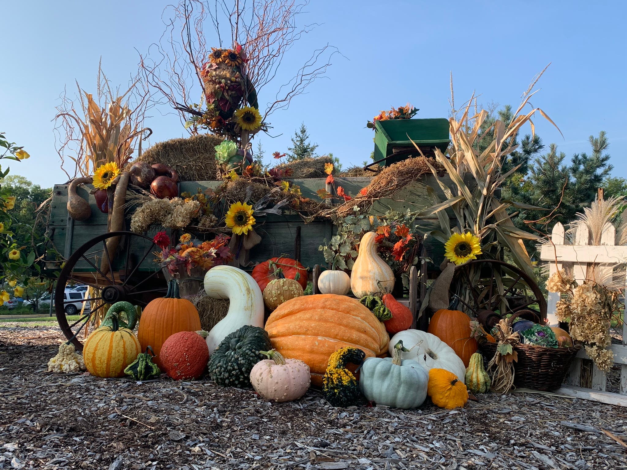 Scarecrows in the Gardens