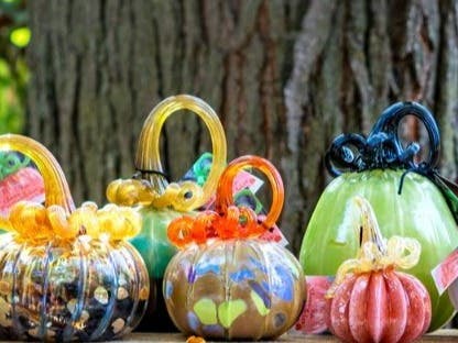 Glass Pumpkin Patch