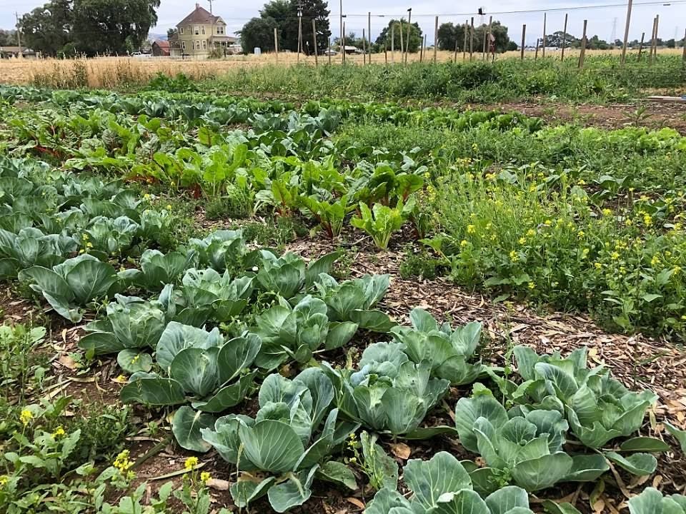 Farmland for everyone