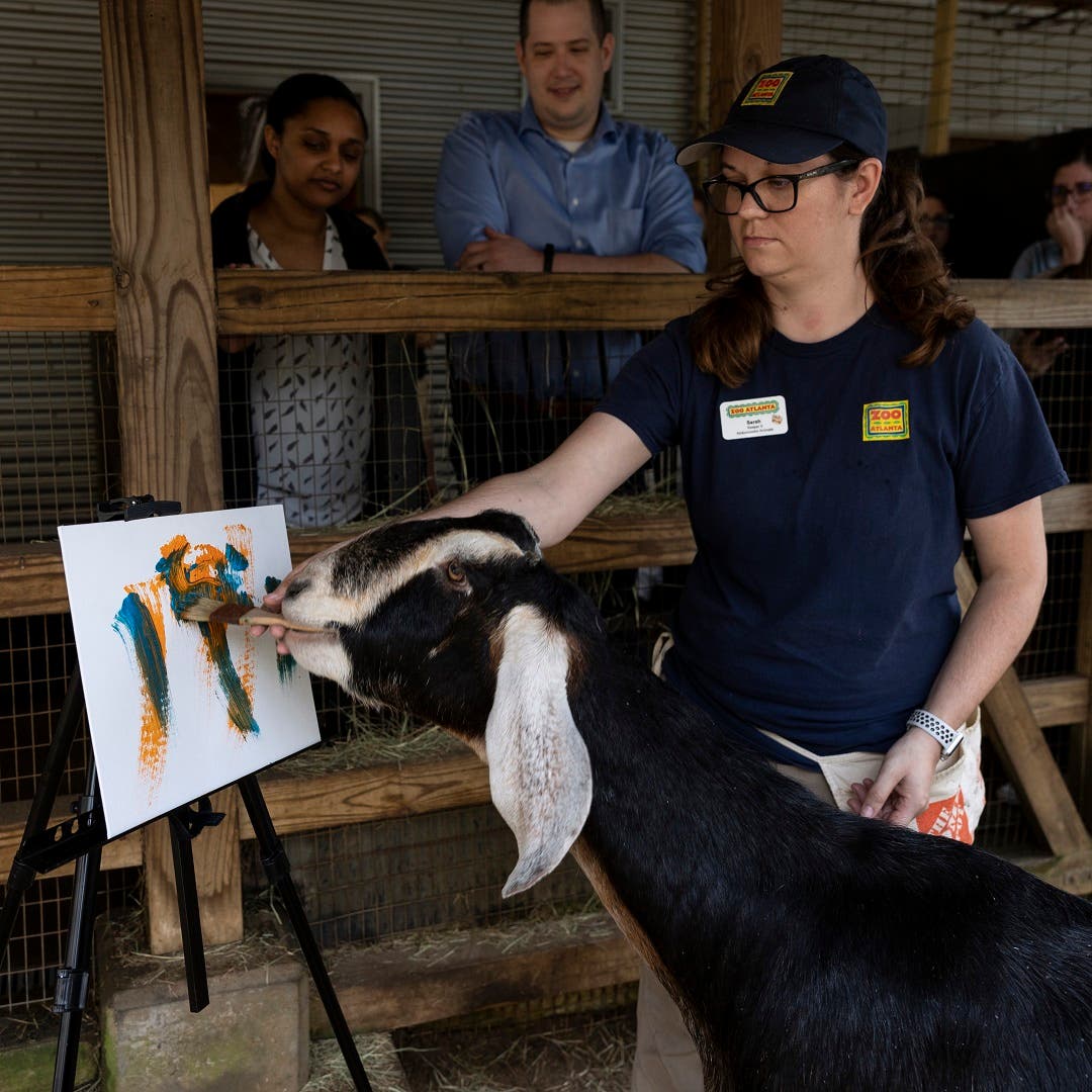 Petting Zoo Painters