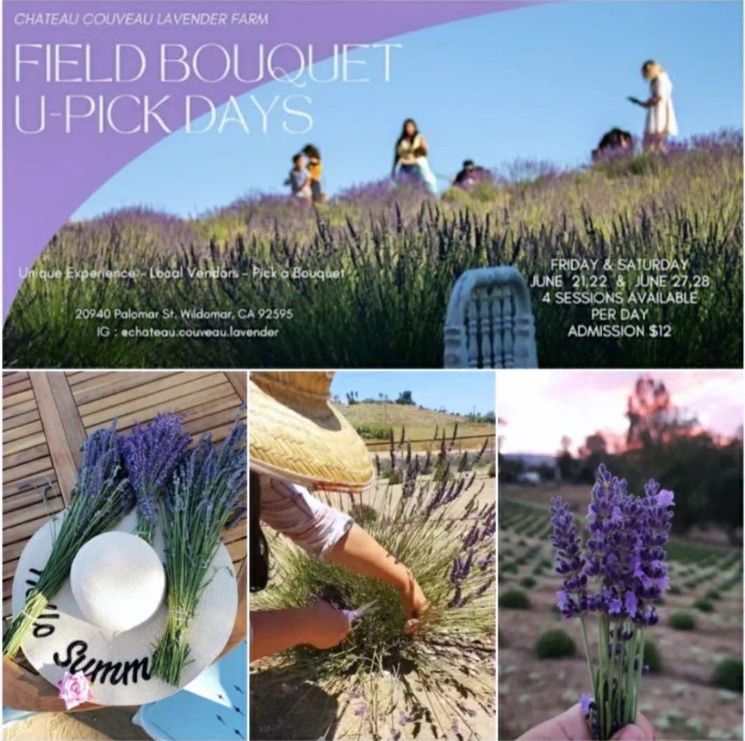 Lavender U-pick Days and Market