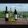 Old York Cellars Winery 's profile picture