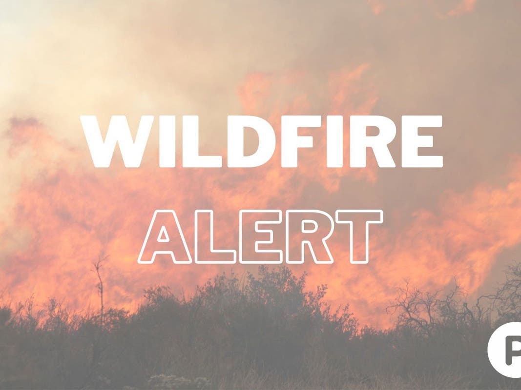 Firefighters have stopped forward progress on a 20-acre fire burning at Altamont Pass Road and Grant Road, according to Cal Fire. 