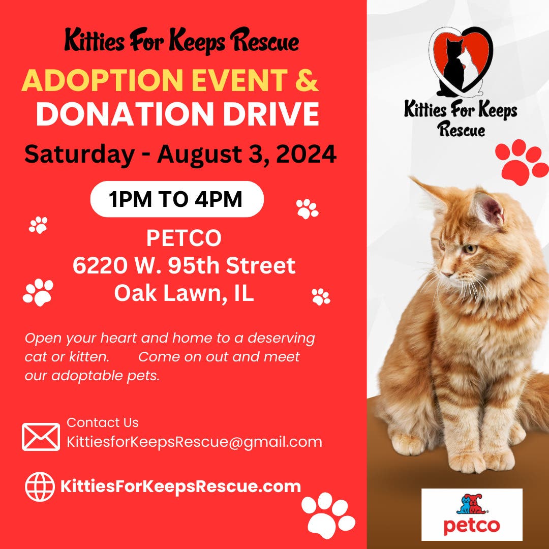 Cat/Kitten Adoption Event and Donation Drive