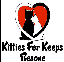 Kitties For Keeps Rescue's profile picture