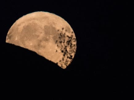 The October full moon, also known as the full hunter’s moon, will be 100 percent full Wednesday night and Thursday morning during the Orionid meteor shower peak, but you may still see a few fireball-producing meteors blazing in the skies over Glenview.
