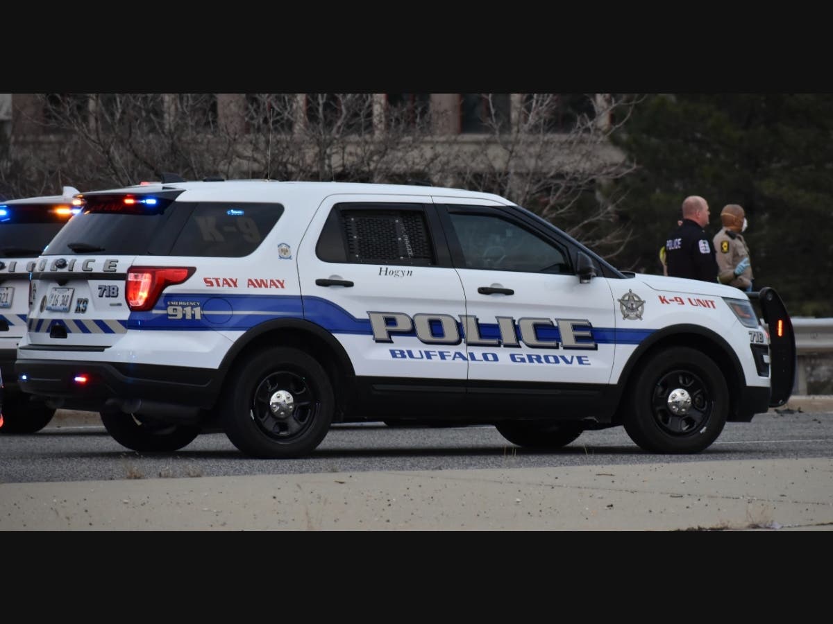 Pair Nabbed With Cocaine, Drug Paraphernalia: Buffalo Grove PD Blotter