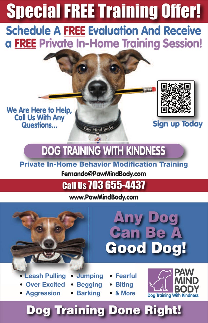 Free Private In-Home Dog Training Session
