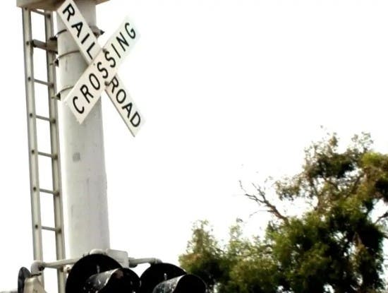 The 73-year-old was traversing a street crossing when she collided with a Sunday morning train destined for Bay Head.
