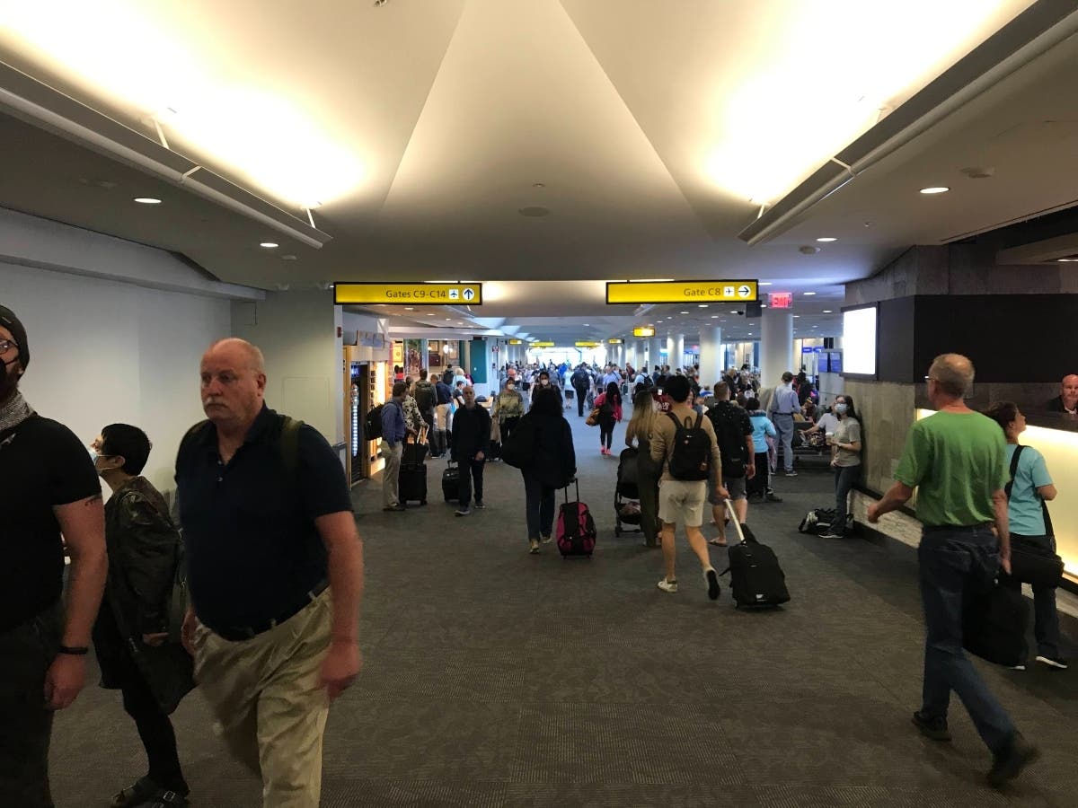 Budget airline JetBlue resumed its service last Friday between Baltimore/Washington International Thurgood Marshall Aiport and Boston Logan International Airport. The concourse of BWI Airport is pictured above in Linthicum.