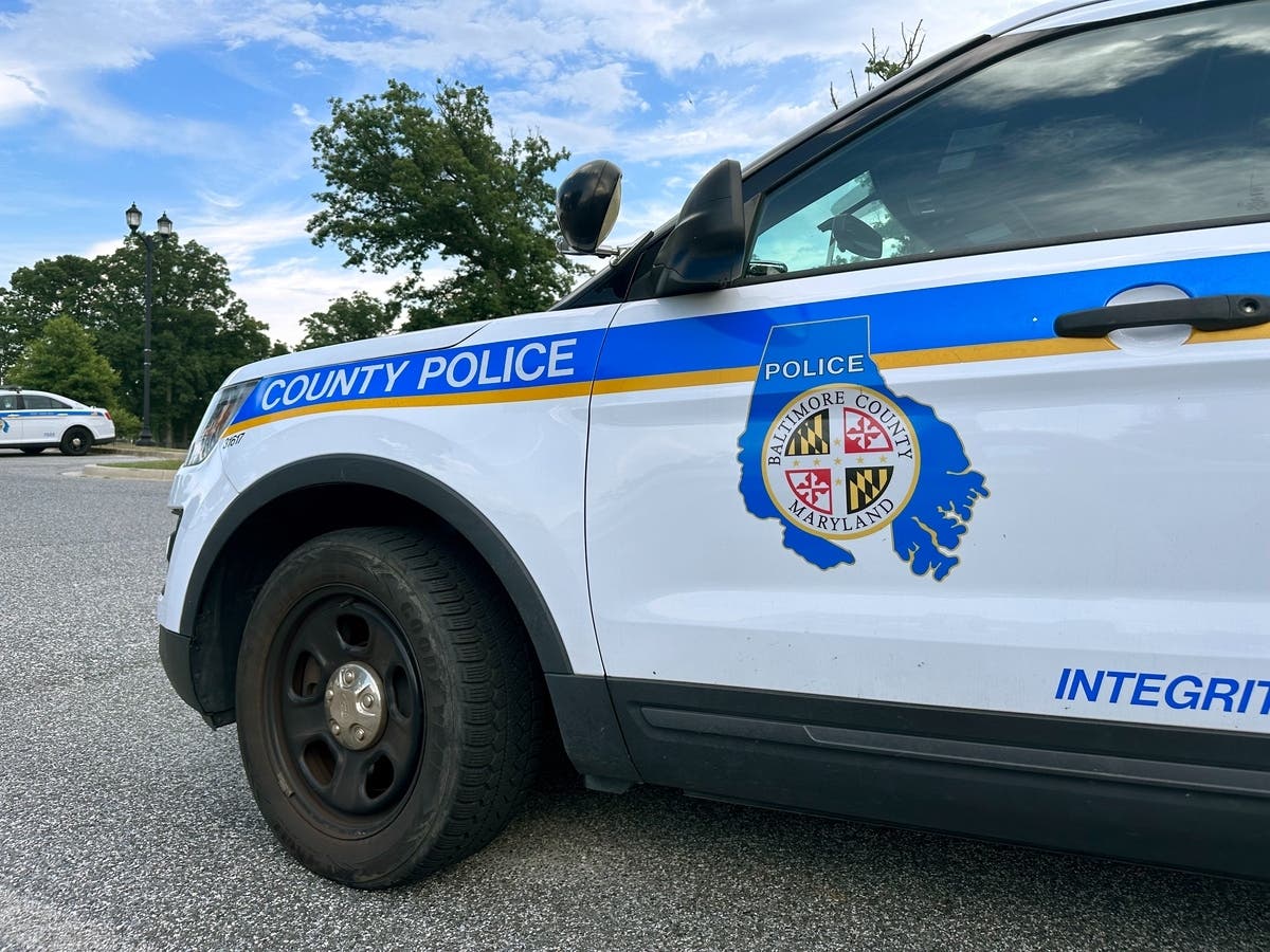 The Baltimore County Police Department said five minors and one adult were arrested on Aug. 5 after robberies near Towson and Owings Mills shopping centers.