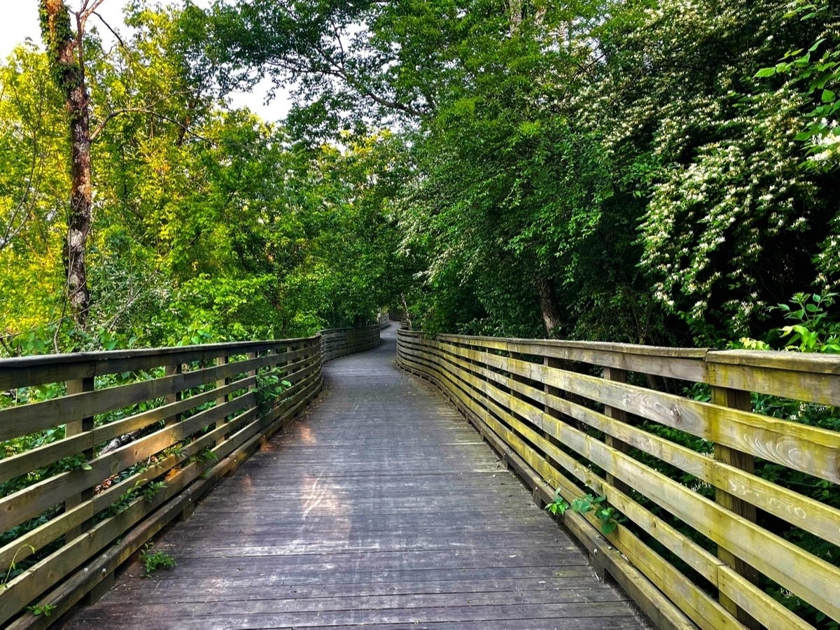 Happy Summer Trails: Best Places To Get Outdoors Around Point Pleasant