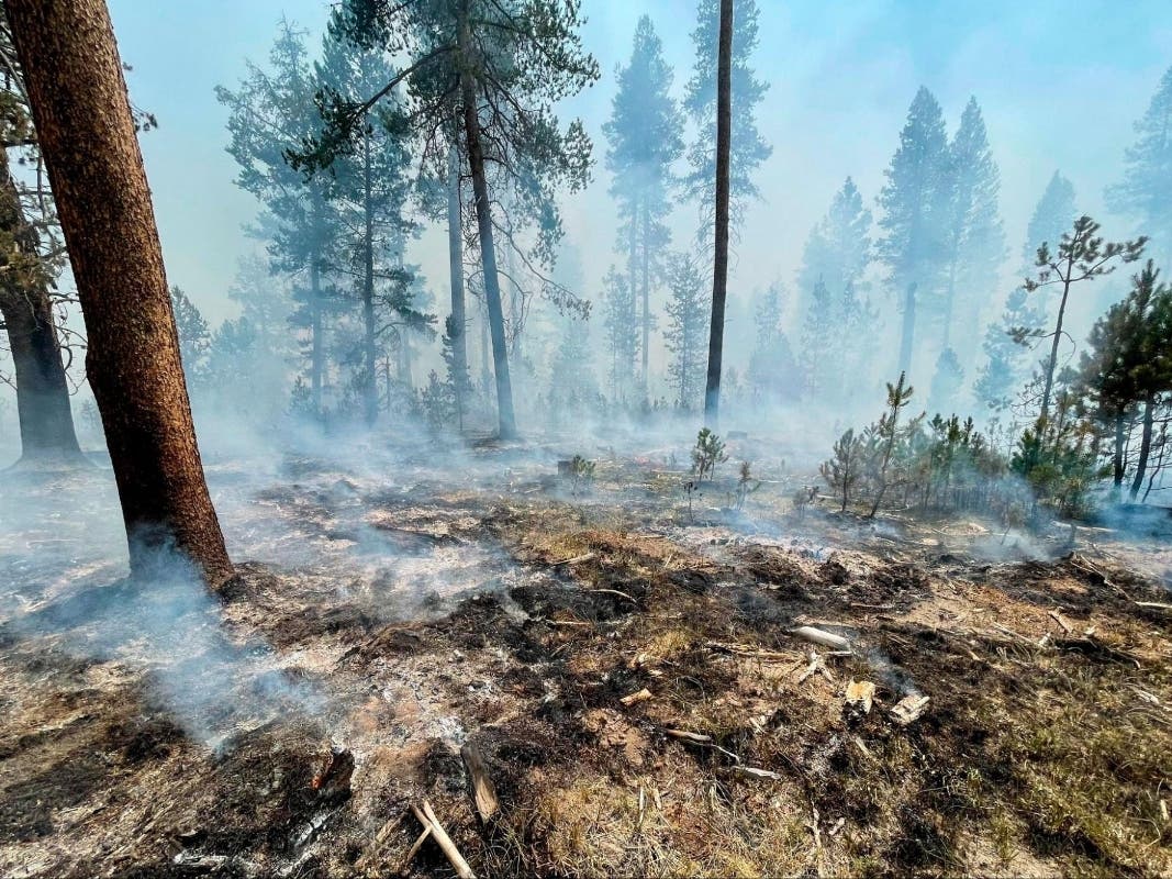 Smoke from the Bootleg Fire, one of the largest wildfires in Oregon’s history, and dozens of others burning across the West and Canada is affecting air quality in New Jersey.