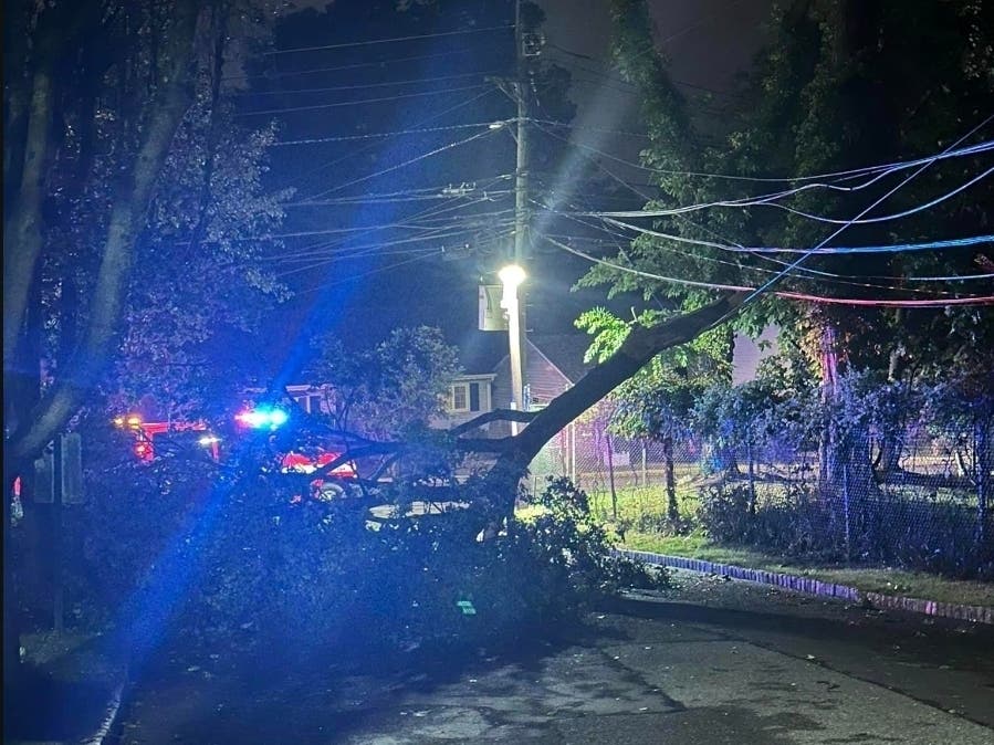 Storm Knocks Down Trees, Power Lines In Edison 