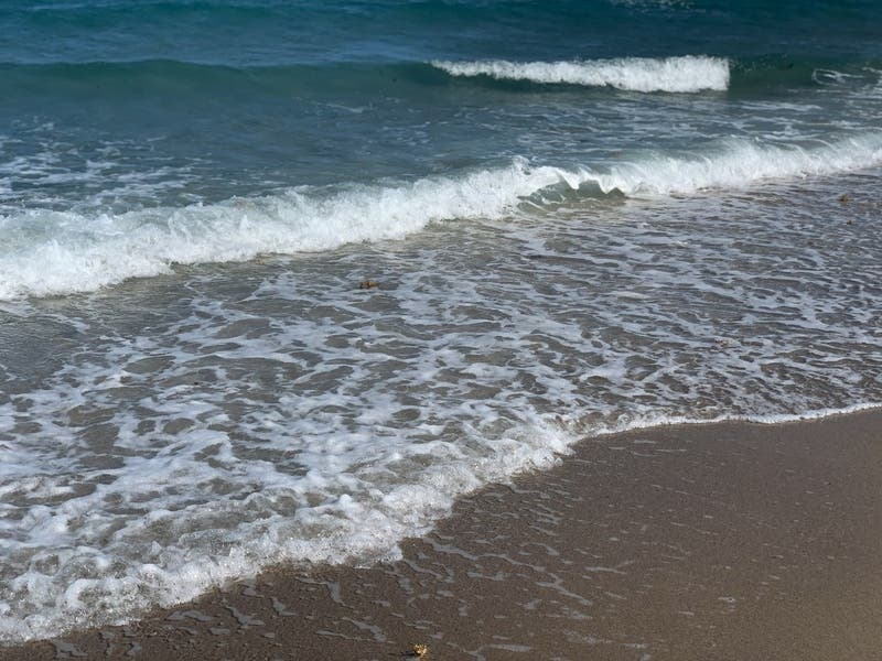 Laguna Beach To Start Hiring Lifeguards Amid Transfer Of South Beaches