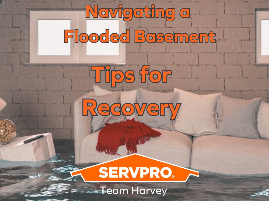 Navigating a Flooded Basement: Tips for Recovery