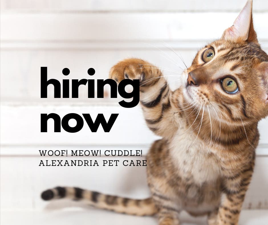 HIRING DAY at Alexandria Pet Care for experienced pet sitters & dog walkers