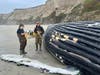 Scientists from The Marine Mammal Center measure Fran, a humpback whale, that was killed by a boat strike as part of a necropsy, or animal autopsy, investigation. Whale Safe hopes to prevent whale strikes like the one that killed Fran.