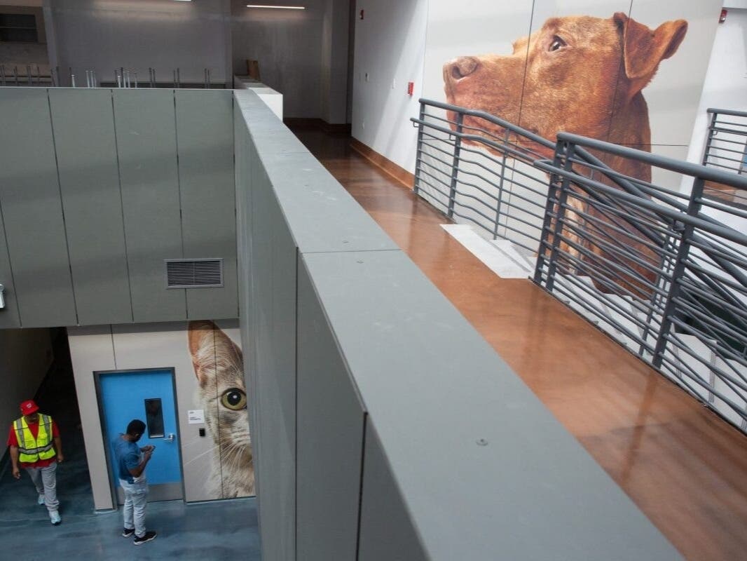 Queens Animal Shelter Opens, Ending Decades-Long Wait For Borough's First Public Facility