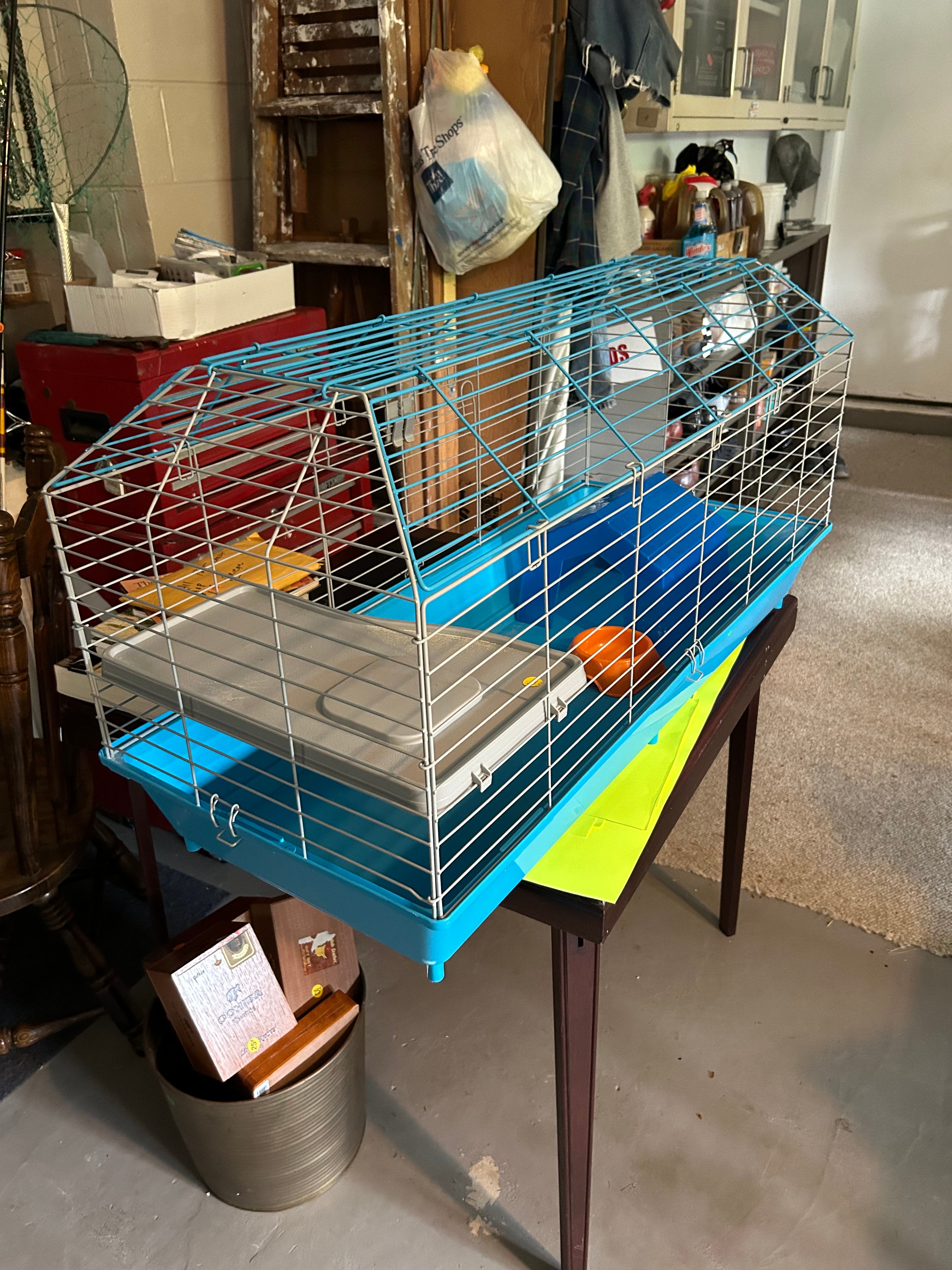 Guinea pig habitat with playpen and bedding