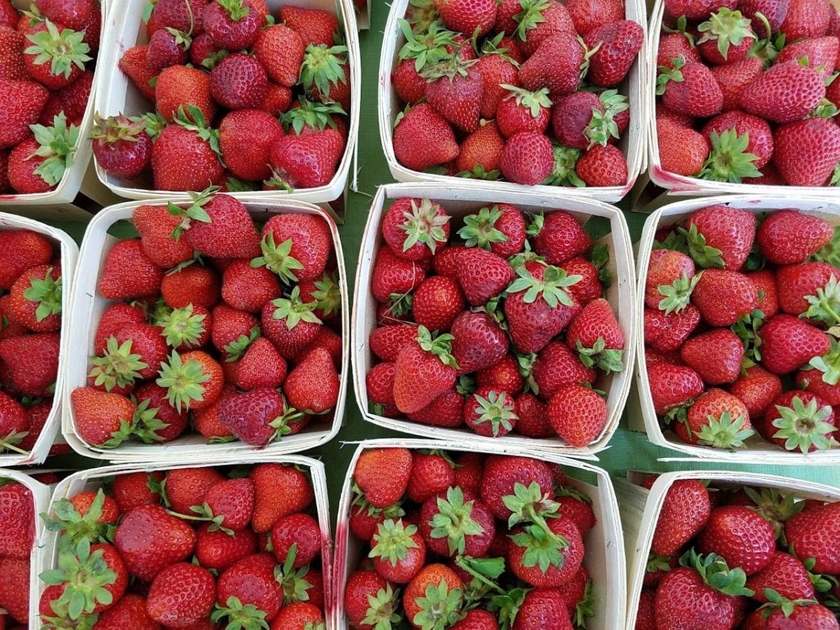 The U.S. Food and Drug Administration along with the Centers for Disease Control and Prevention are investigating an outbreak of hepatitis A across multiple states and Canada. There is possibly a link between the outbreak and fresh organic strawberries.