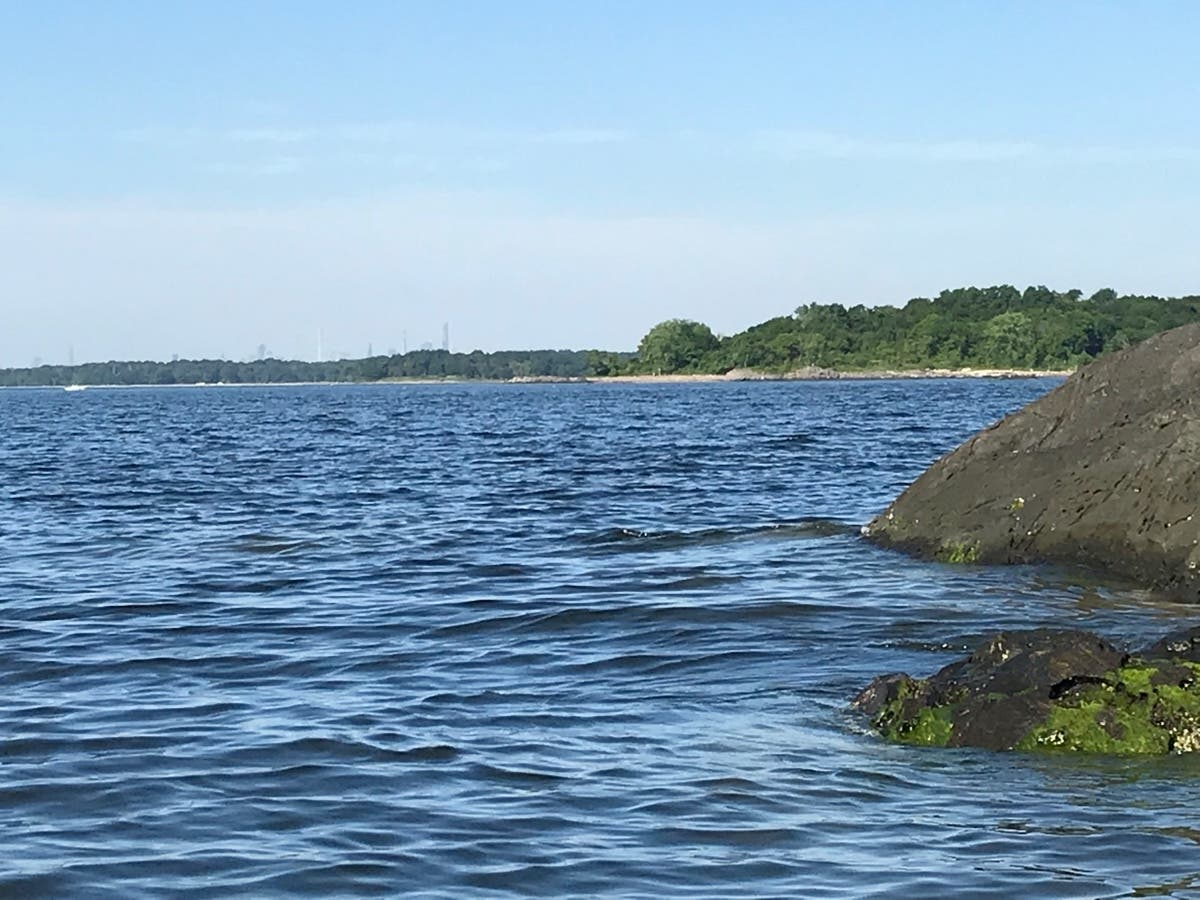 An Audubon-listed "Important Bird Area" with a view of the Manhattan skyline. 