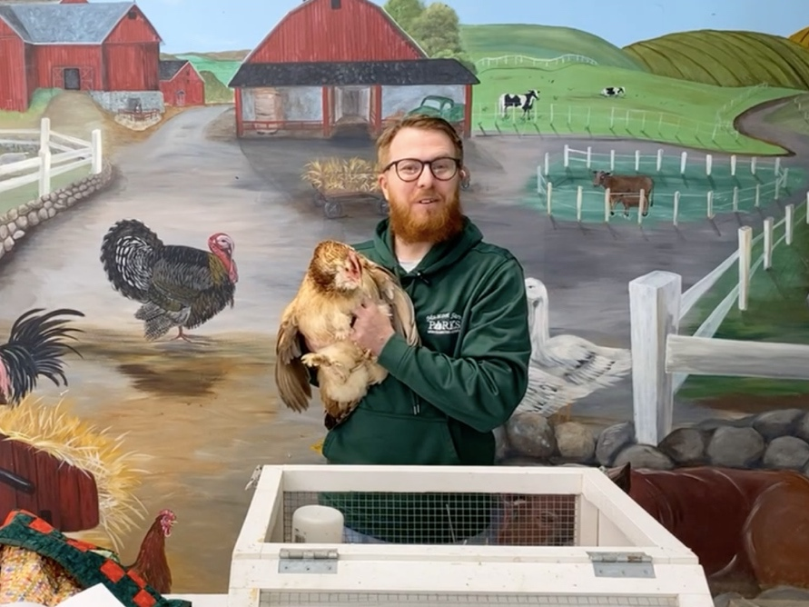 Muscoot Farm Curator Jonathon Benjamin and Cluxatawney Henrietta revealed the hen's prediction at a ceremony on Wednesday.